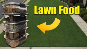 spring lawn fertilizers