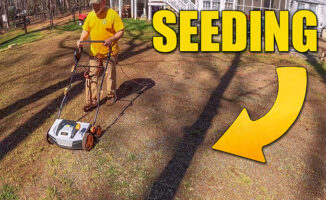 Seeding lawns and overseeding lawns