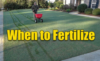 when to fertilize your lawn