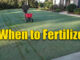 when to fertilize your lawn