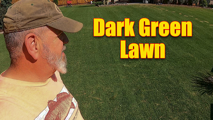 dark green thick lawn