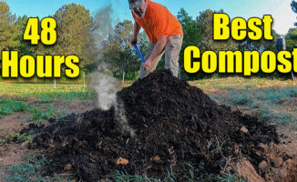 best garden compost and soil
