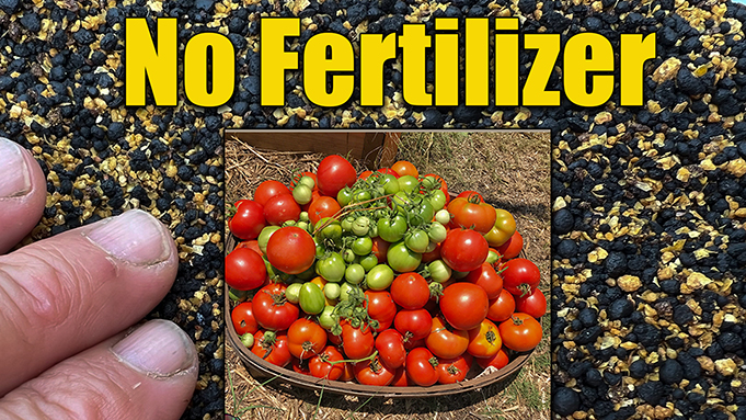 organic vegetable garden fertilizer