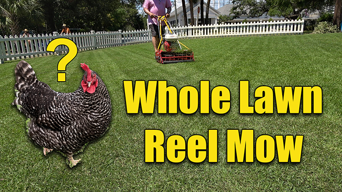 reel mowing lawn