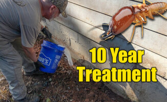 diy termite treatment
