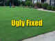 fixing ugly lawn
