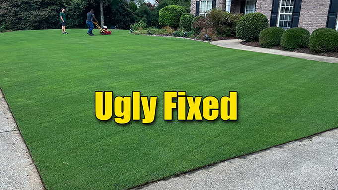 fixing ugly lawn