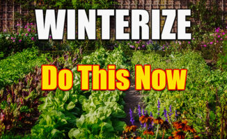 winterize vegetable garden