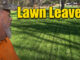 lawn leaves mulch or pickup