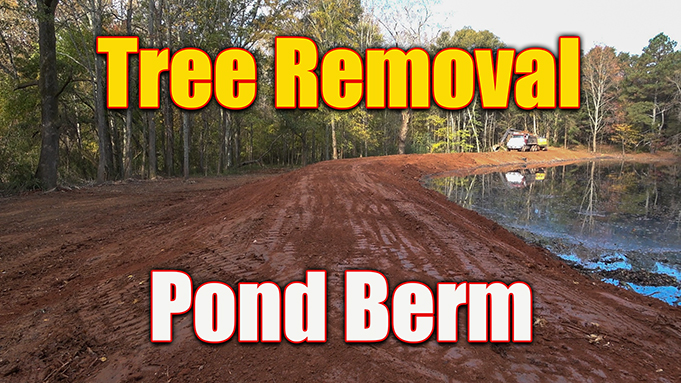 pond berm tree removal