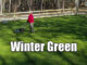 winter rye grass care