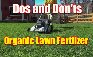 organic lawn fertilizer