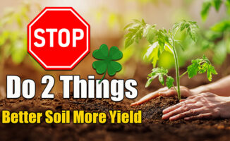 prepare garden soil for planting