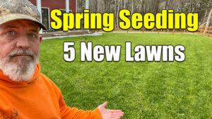 spring seeding lawn