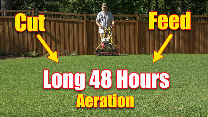 reel mow lawn care full