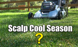 scalp lawn cool season