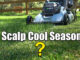 scalp lawn cool season