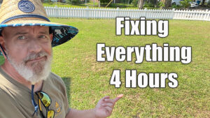 fix ugly lawn