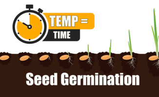 how long seed germination