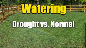 watering lawn during drought