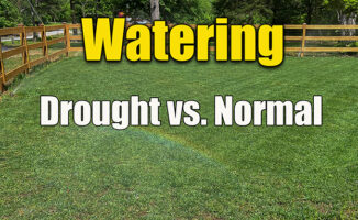watering lawn during drought