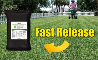 fast release summer lawn fertilizer