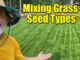 mixing grass seeds on lawns