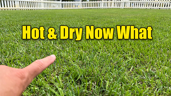 Ready go to ... https://www.howtowithdoc.com/lawn-care-summer/ [ Summer Lawn Care Heat and Drought]