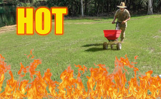 hot summer lawn care