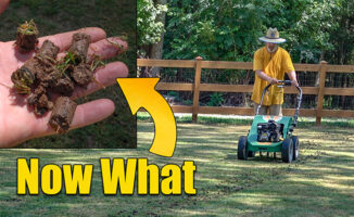 how to aerate lawns