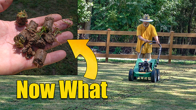 How to Aerate Your Lawn in Canada - Featured Image