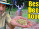 best deer food and food plots