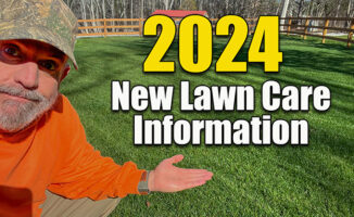 lawn care spring 2024