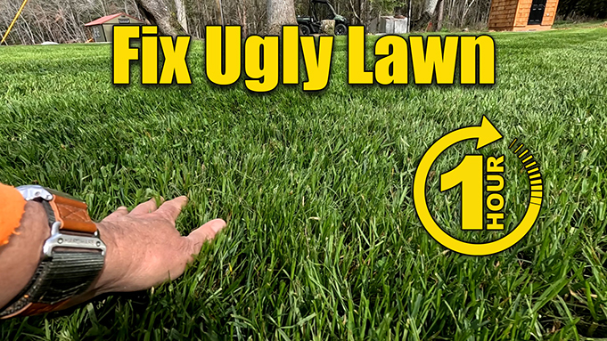 fix an ugly lawn