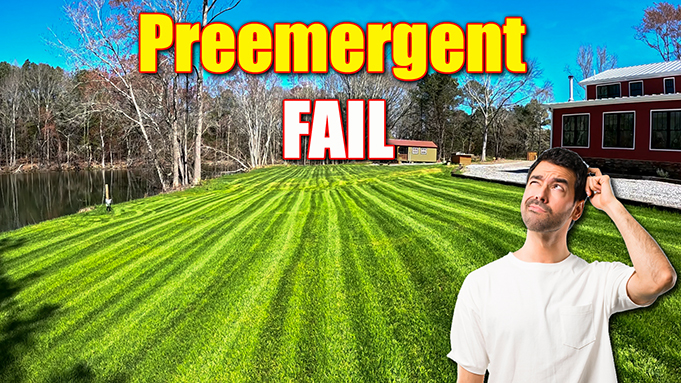 lawn preemergent not working