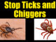 prevent ticks and chiggers