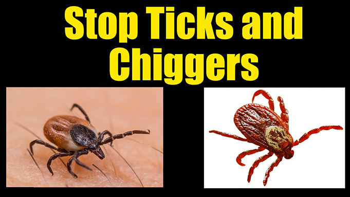 prevent ticks and chiggers