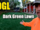 dgl dark green lawn