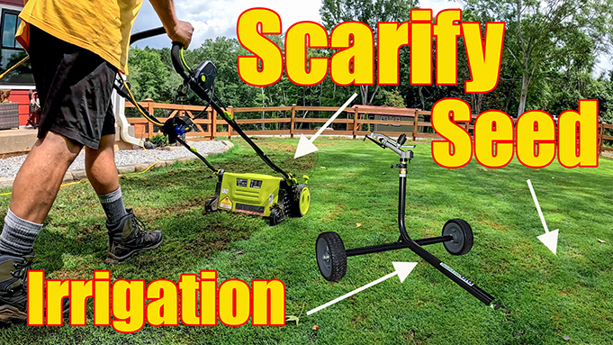 lawn renovation bermuda grass