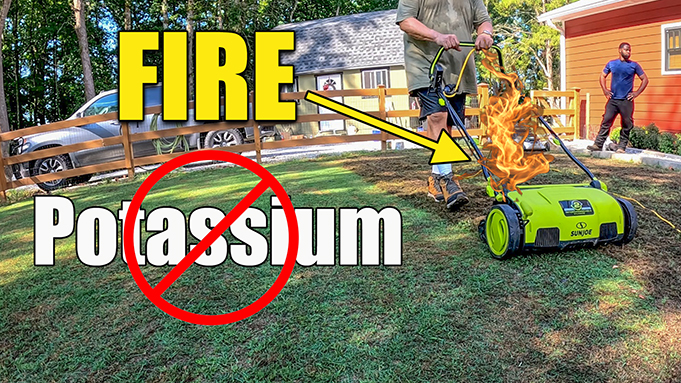summer lawn stress