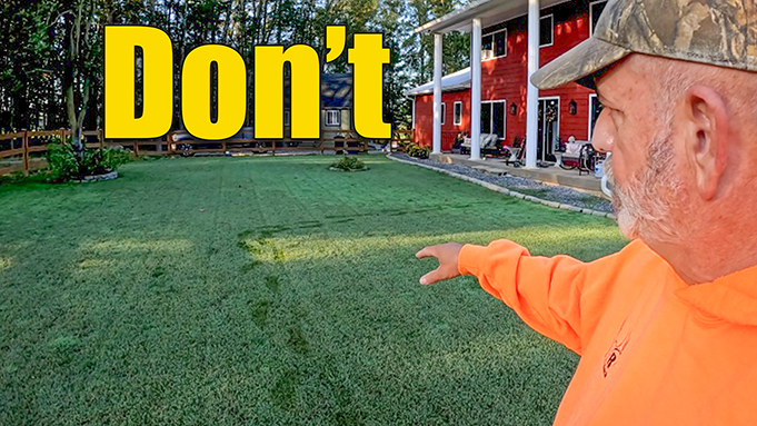 Should You Winter Overseed a Bermuda Lawn Lawn Care