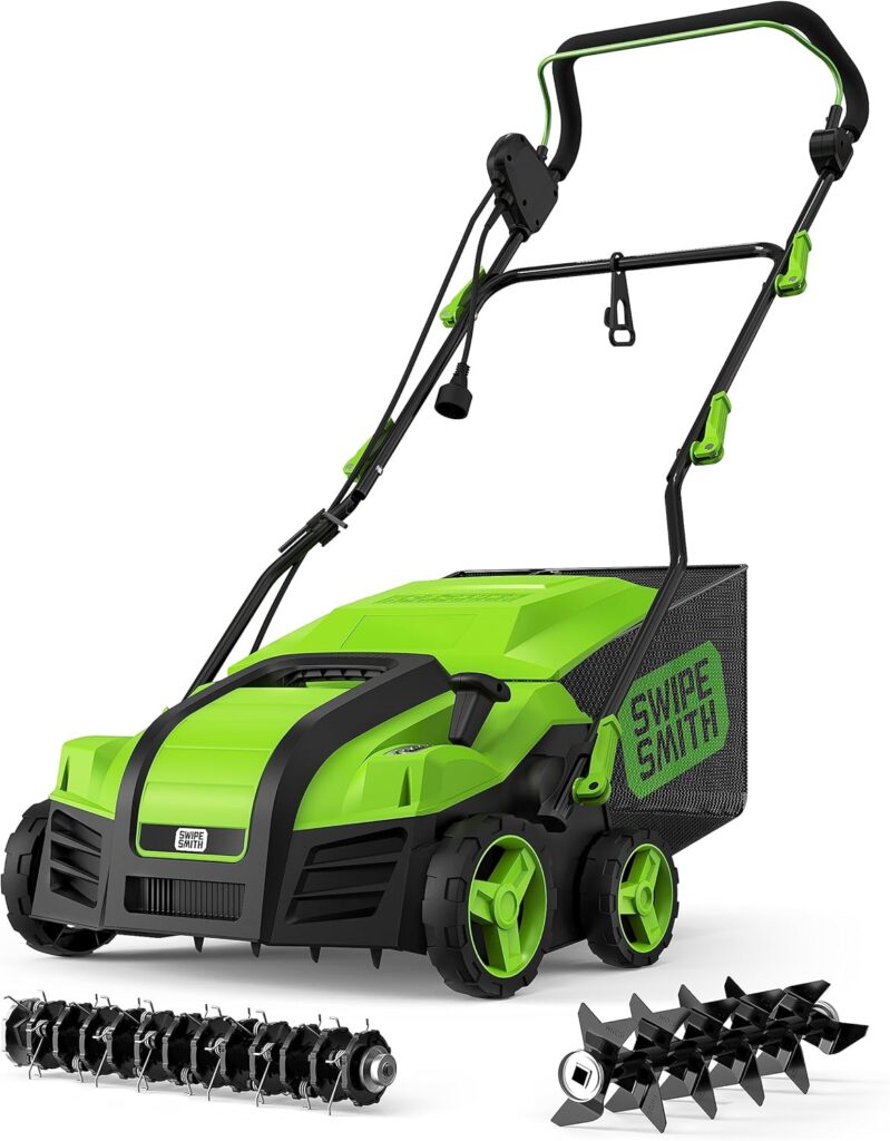 Should You Dethatch Your Lawn Lawn Care