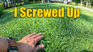 fall lawn seeding