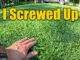 fall lawn seeding