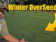 overseeding lawns fall