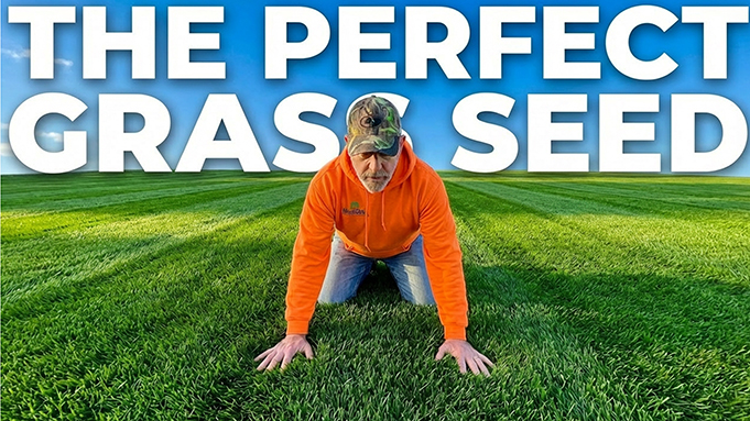 best warm season grass lawn seeds